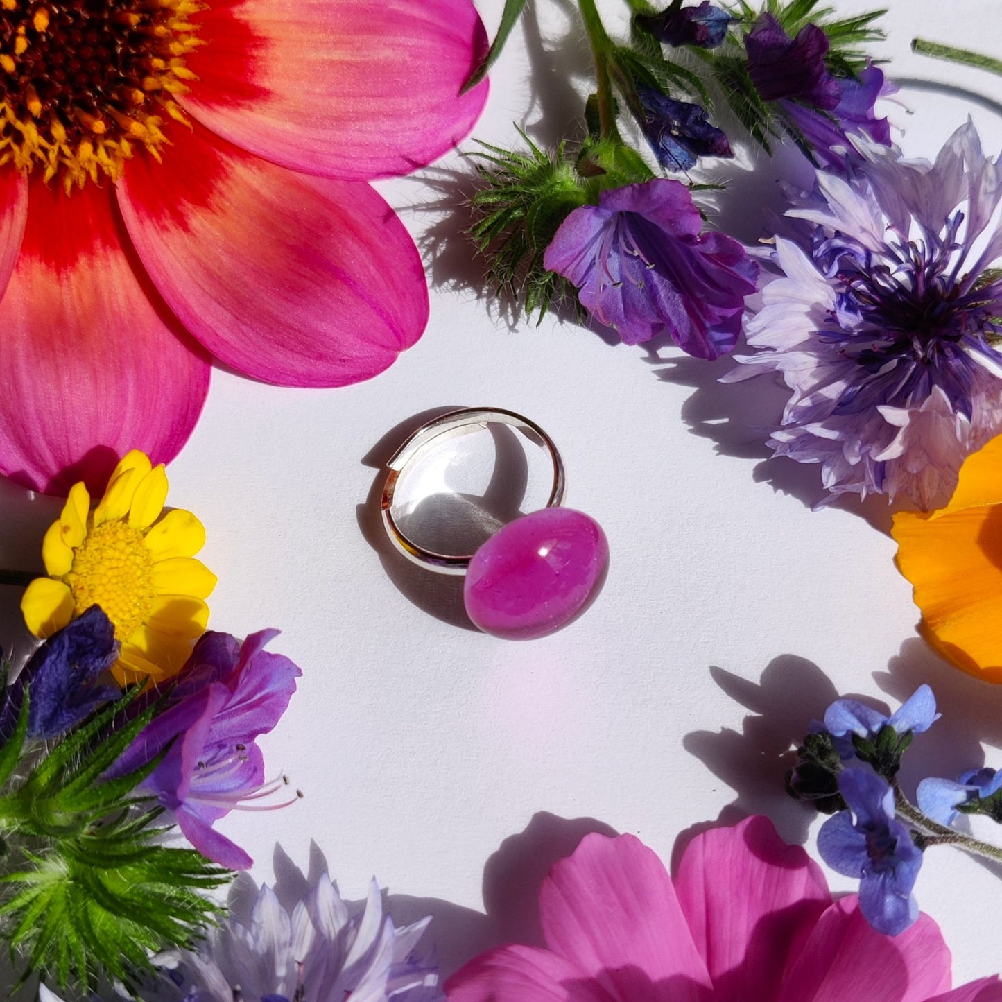 Lasisormus, syklaami