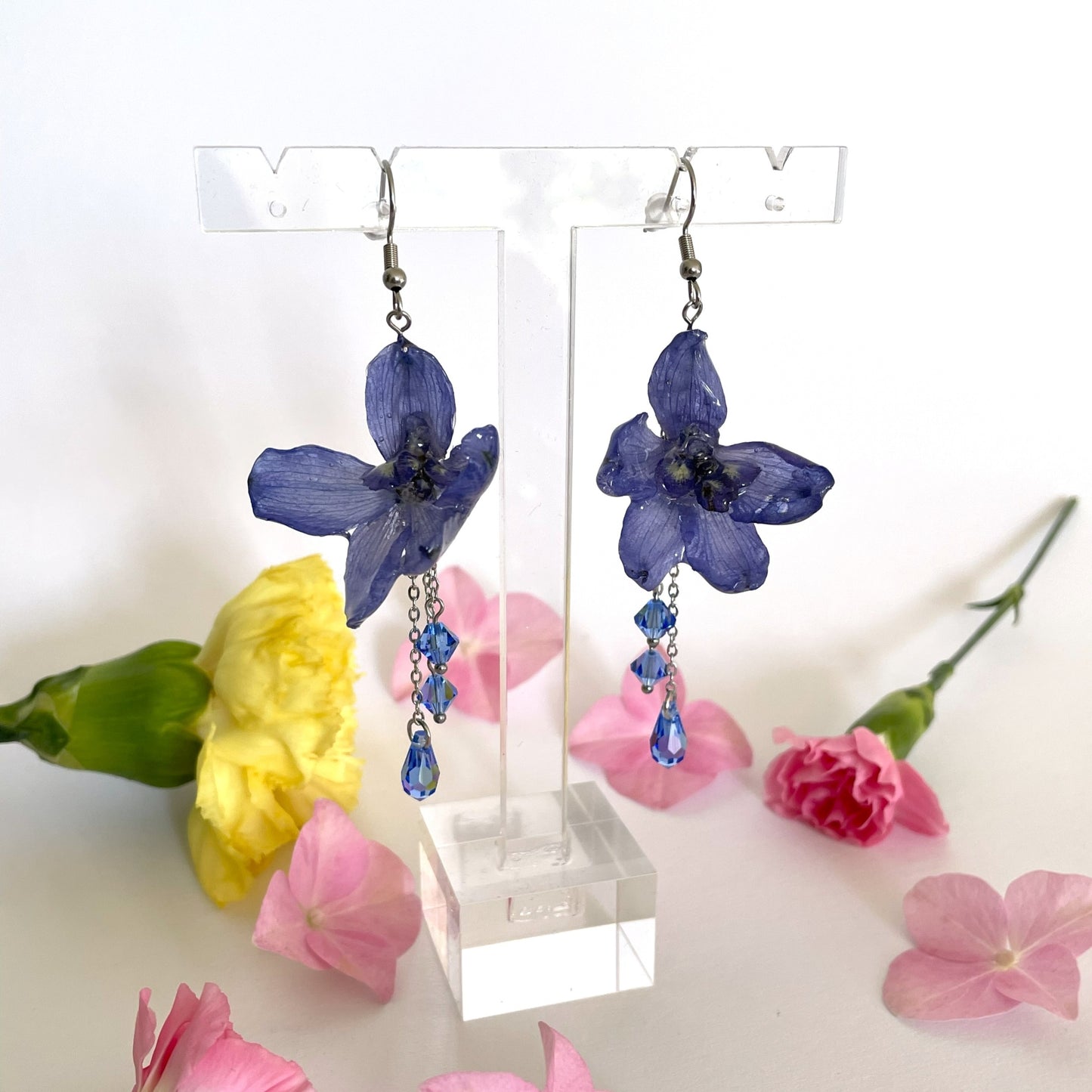 Ritarinkannus, sininen