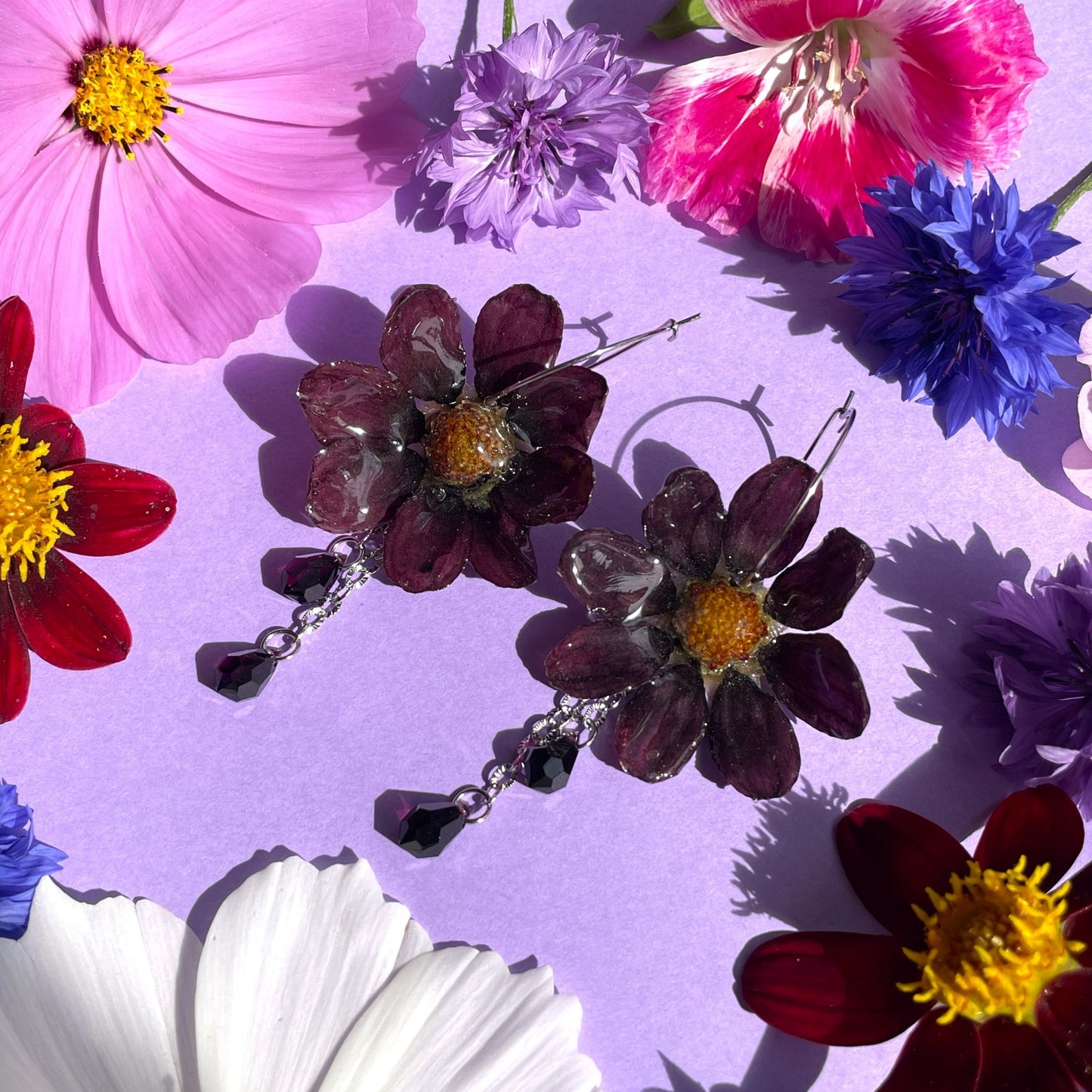 Dahlia-korvakorut renkaalla, tumma