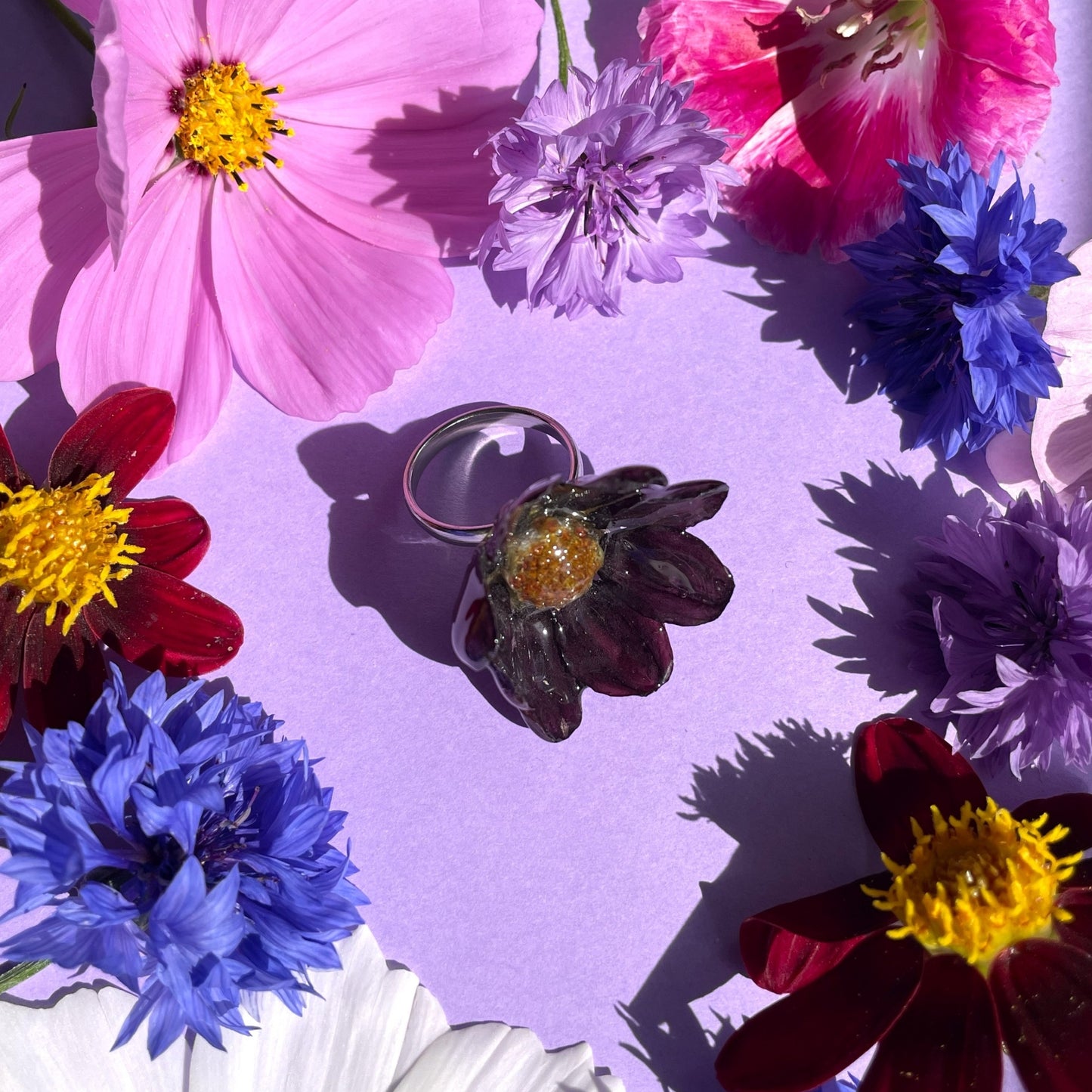 Dahlia-sormus, tumma