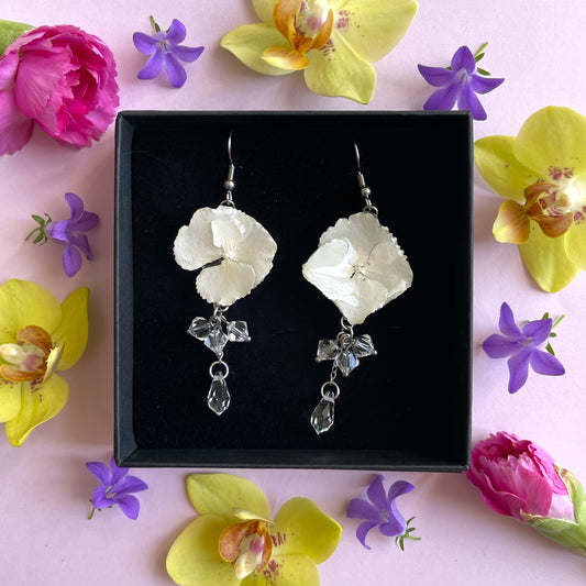 Hortensia, valkoinen