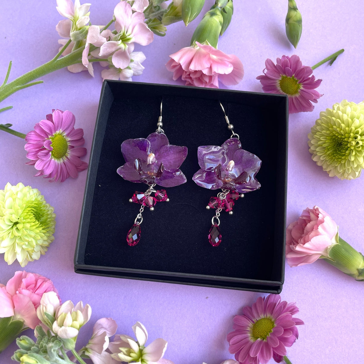 Orkidea, violetti