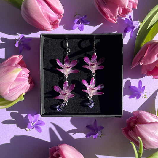 Orkidea minimini, pitkä