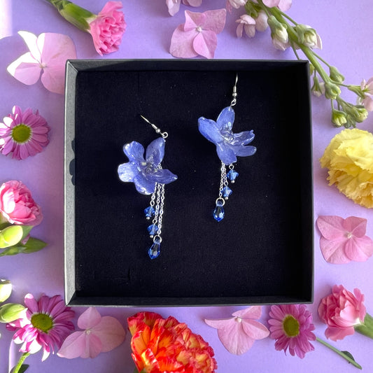 Ritarinkannus, sininen