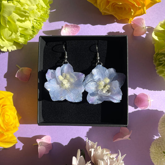 Ritarinkannus, vaaleansininen (lyhyempi)