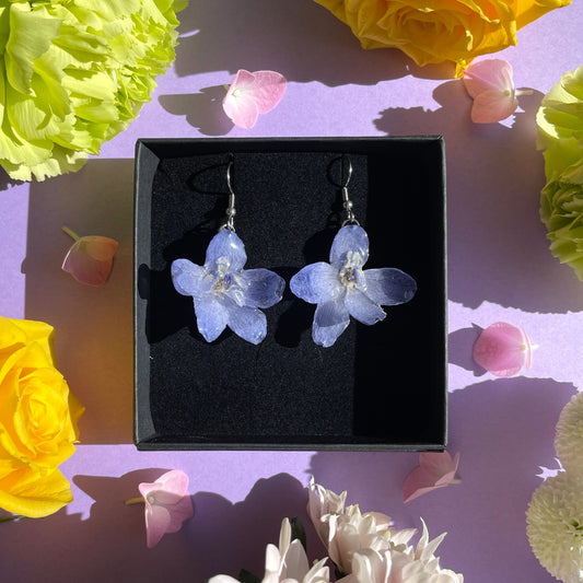 Ritarinkannus, sininen (lyhyempi)